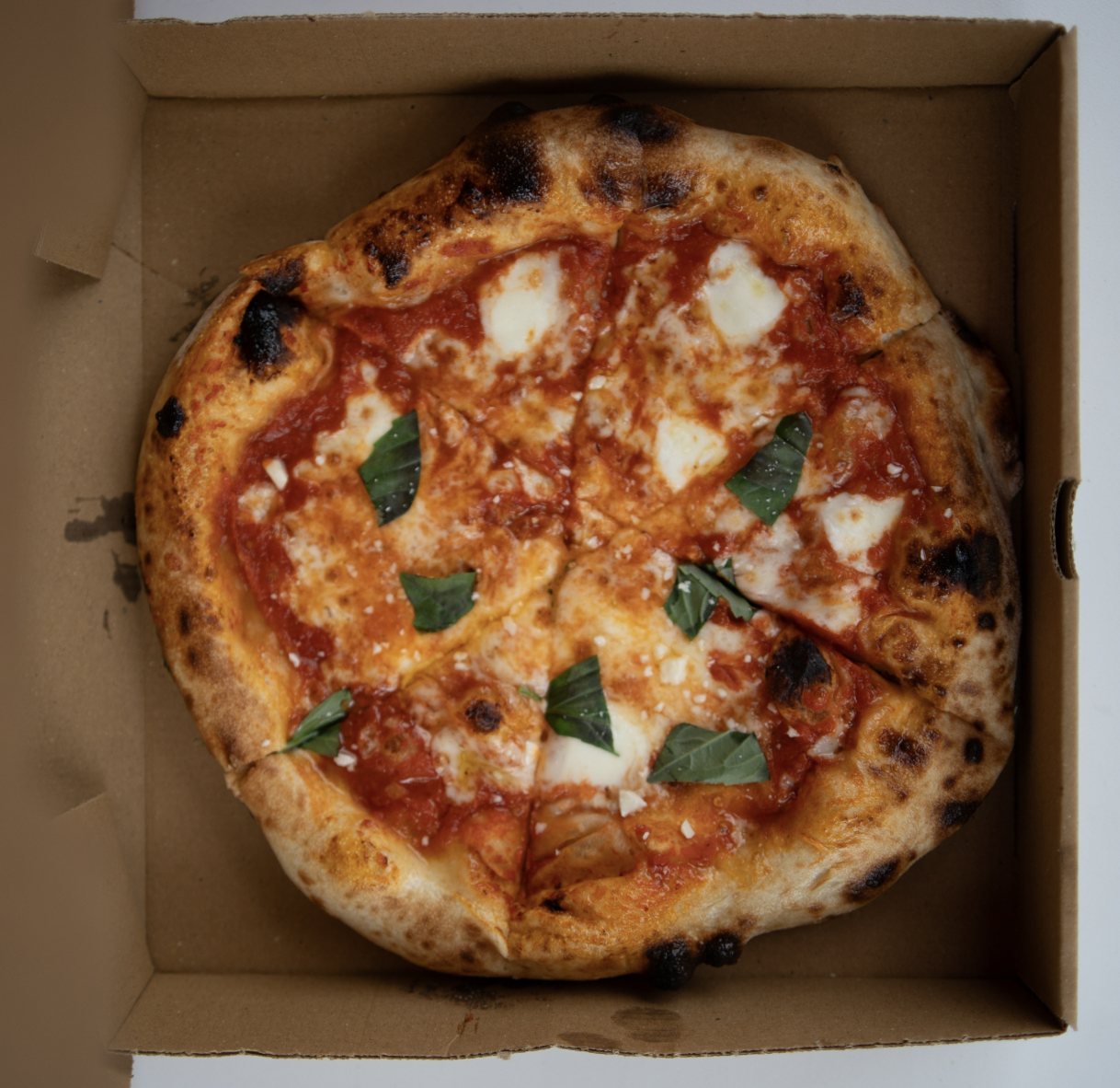 Classic Margherita pizza with red sauce, fresh mozzarella and basil at Burnt Mouth Pizza Orlando